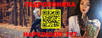 мдпв Ирбит