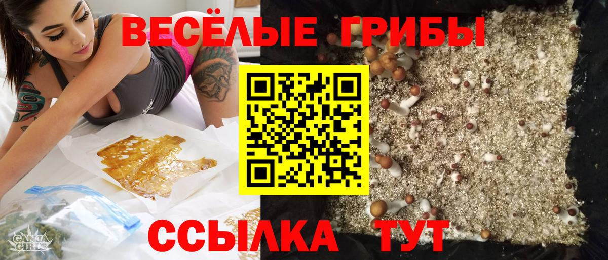 Курчатов  Галлюциногенные грибы Psilocybine cubensis  Галлюциногенные грибы Magic Shrooms  Вход с VPN 